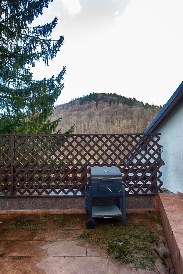 Vila Imperial Panzió Sinaia Kültér fotó